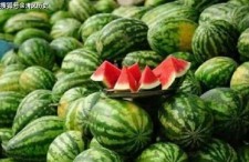 吃瓜网是什么网站,网络舆论风向标背后的真相