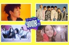 日韩理论高清中文视频在线观看,深度解析与在线观看指南