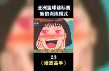 日韩锦标赛灌篮高手视频,日韩锦标赛巅峰对决，热血灌篮燃情再现