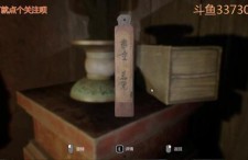 国产恐怖游戏视频解析,揭秘幕后惊悚元素与心理恐惧