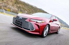 亚洲龙对话视频,揭秘神秘生物的神秘面纱